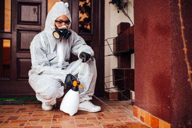 Reliable Mosquito Control contractor in Cedar Glen Lakes, NJ by Nex Pest Control