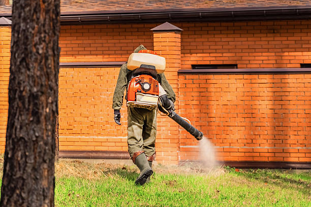 Trusted Termite Control service in Cedar Glen Lakes, NJ - Nex Pest Control